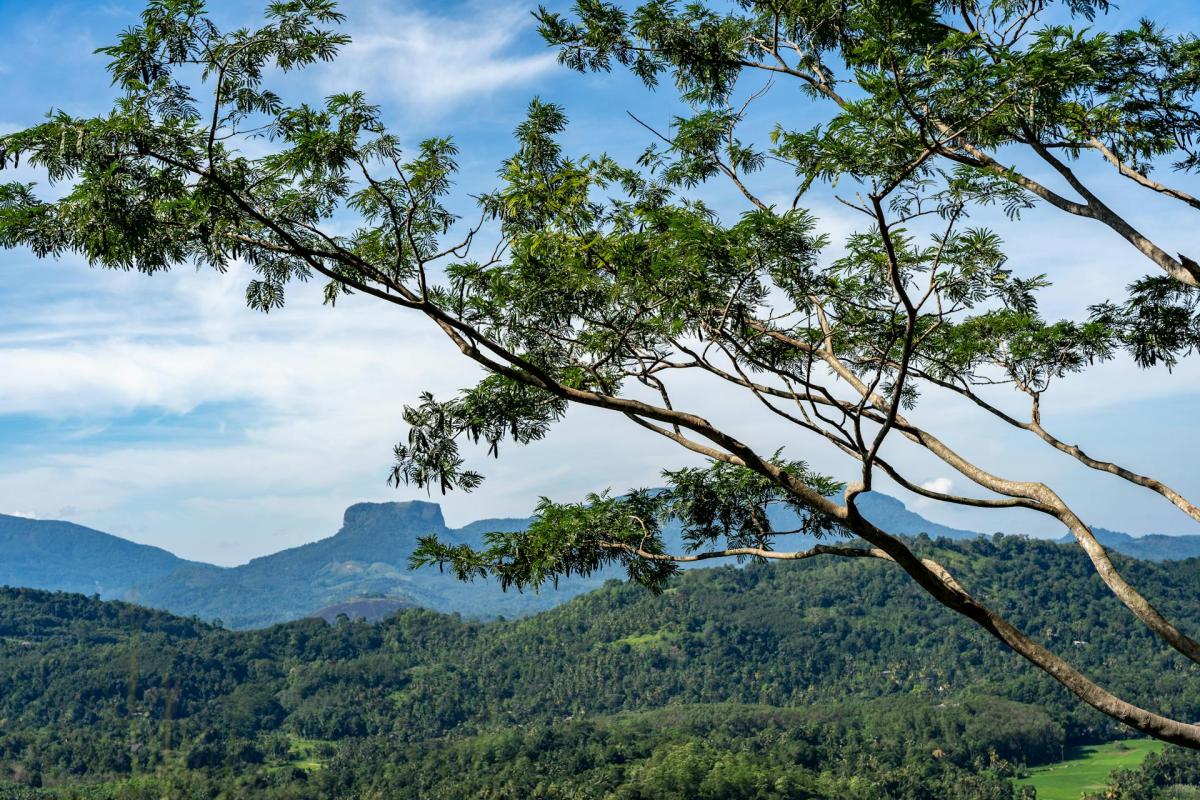 MAGNIFICENT HIKING TOUR