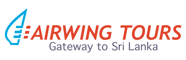 Airwing Tours